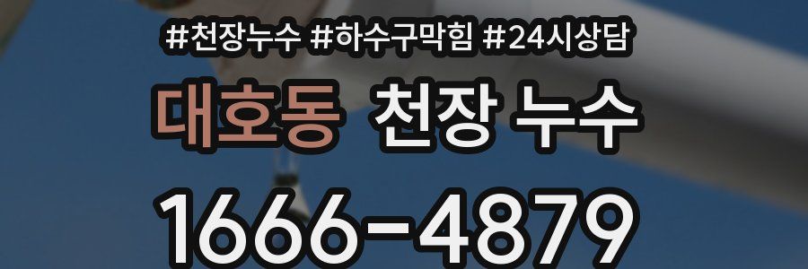 대호동 천장 누수