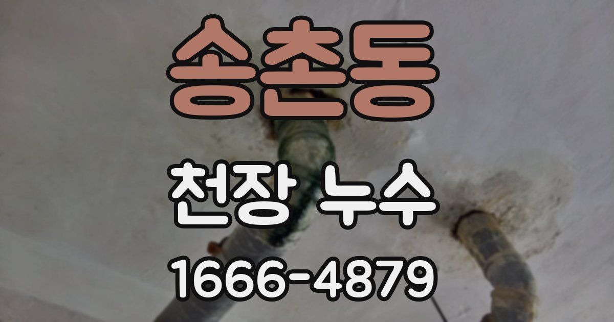 송촌동 천장 누수