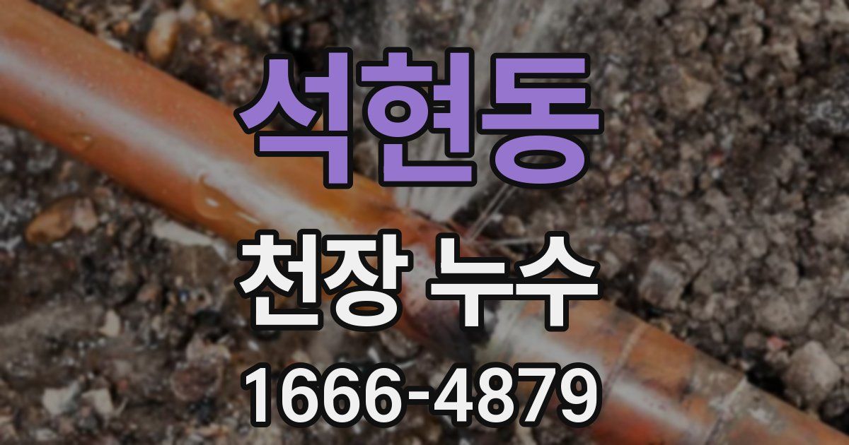 석현동 천장 누수