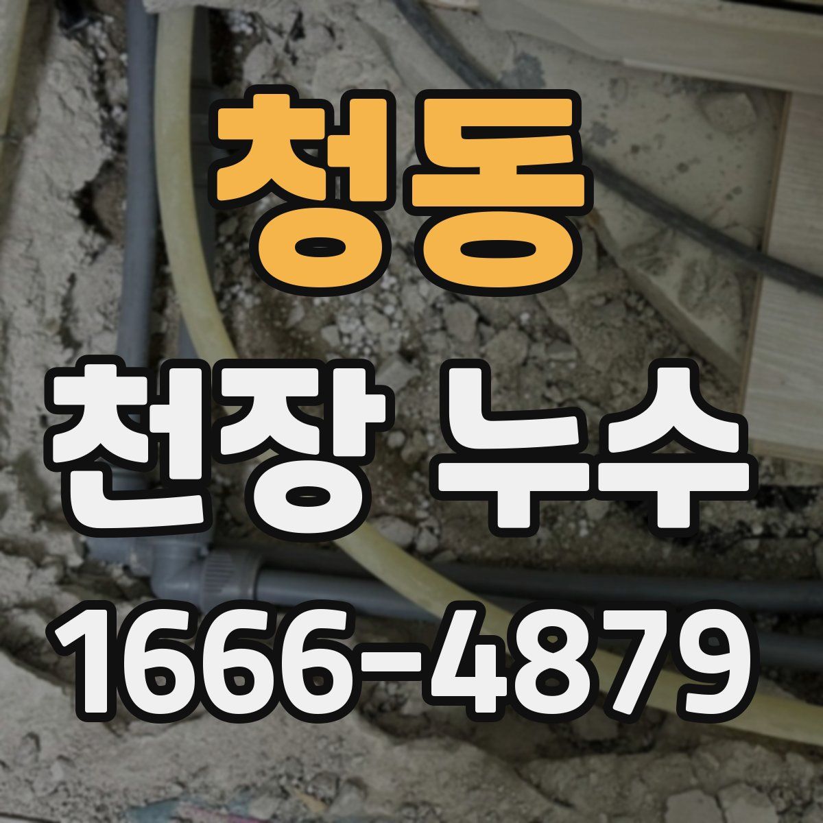 청동 천장 누수