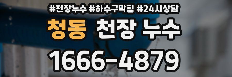 청동 천장 누수