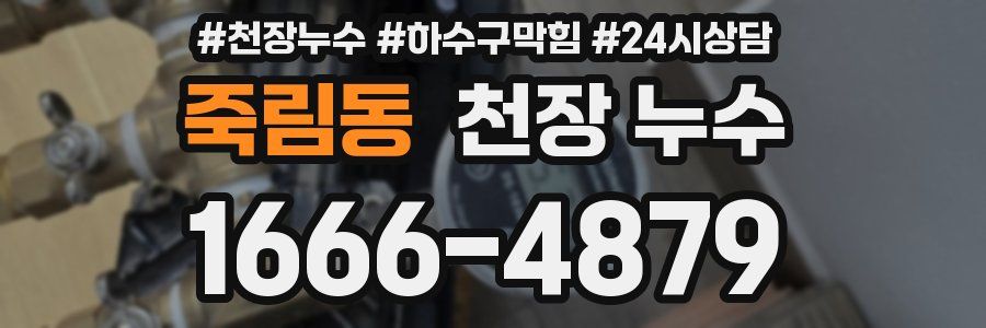 죽림동 천장 누수