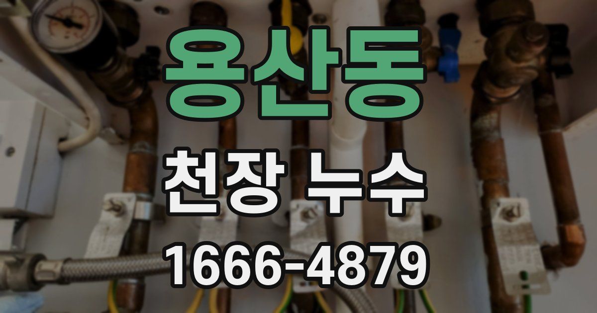 용산동 천장 누수