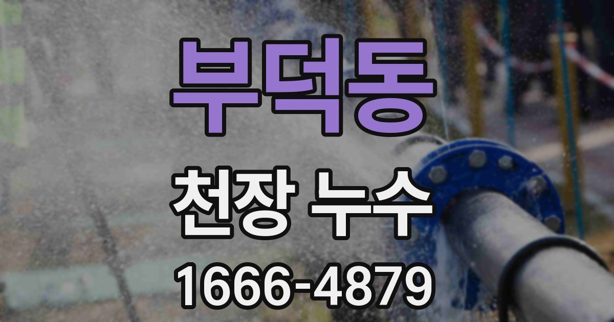 부덕동 천장 누수