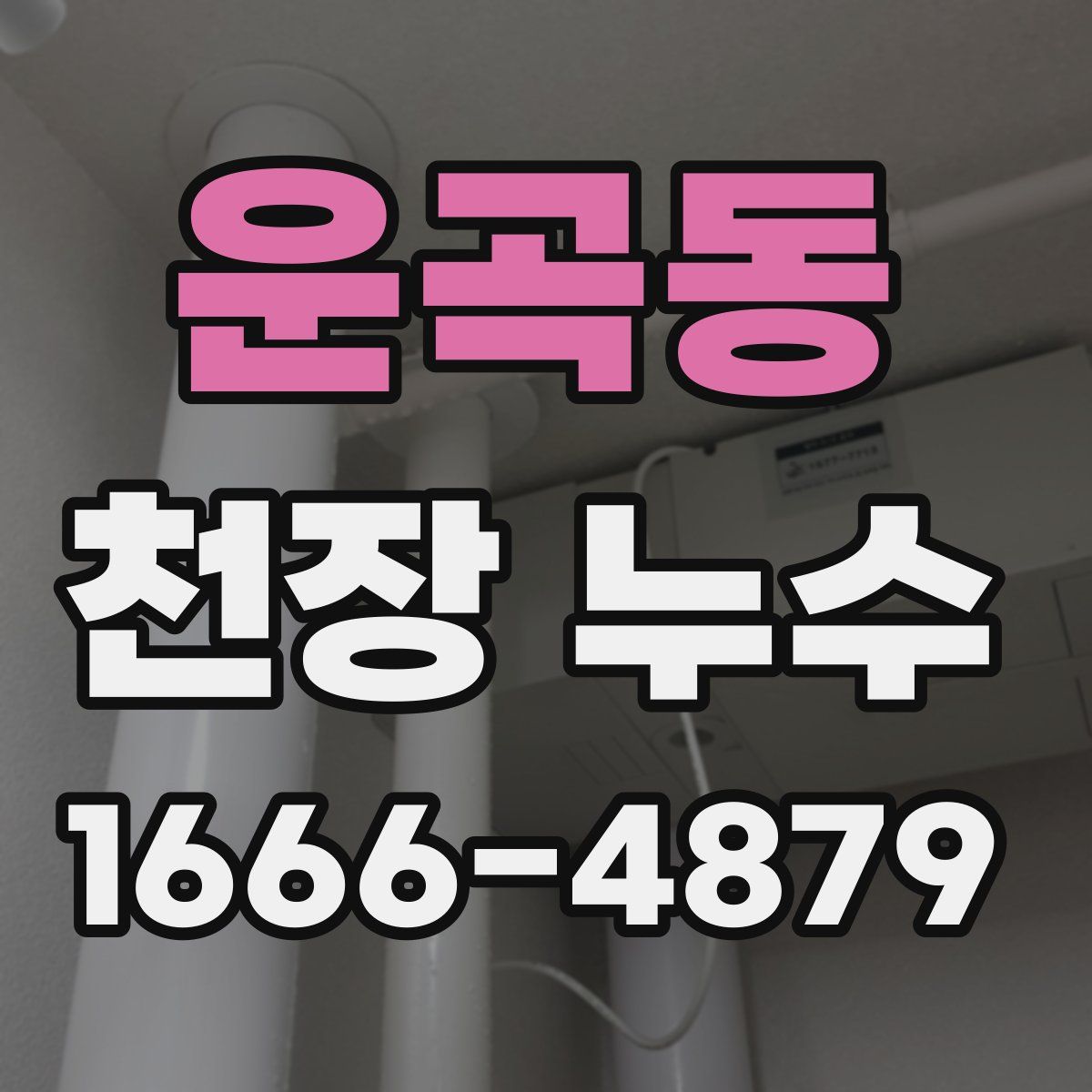 운곡동 천장 누수