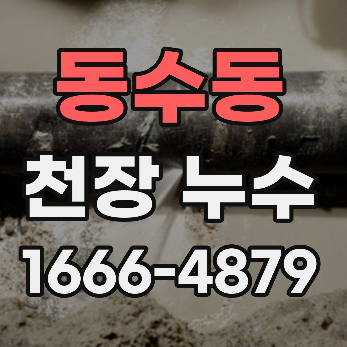 동수동 천장 누수