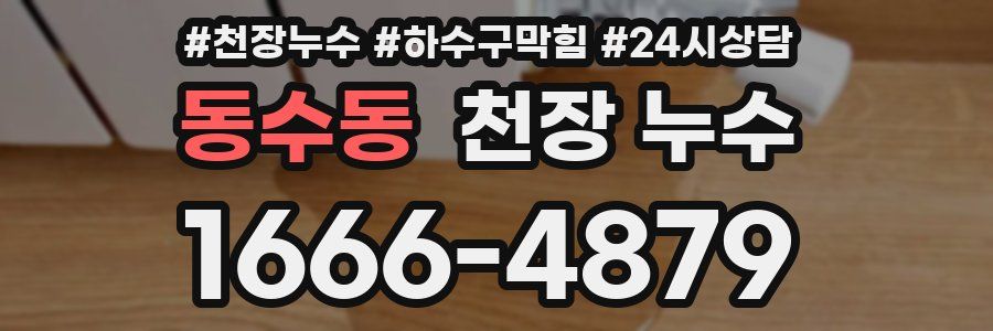 동수동 천장 누수