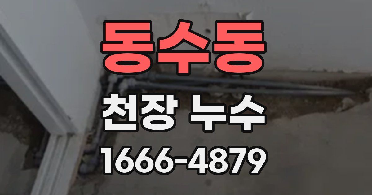 동수동 천장 누수