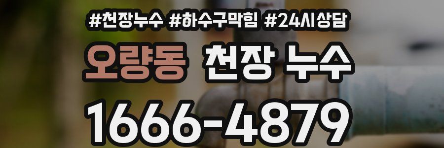 오량동 천장 누수