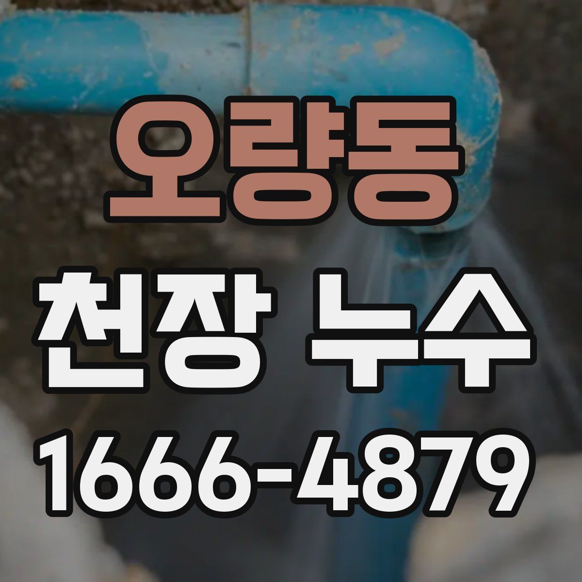 오량동 천장 누수