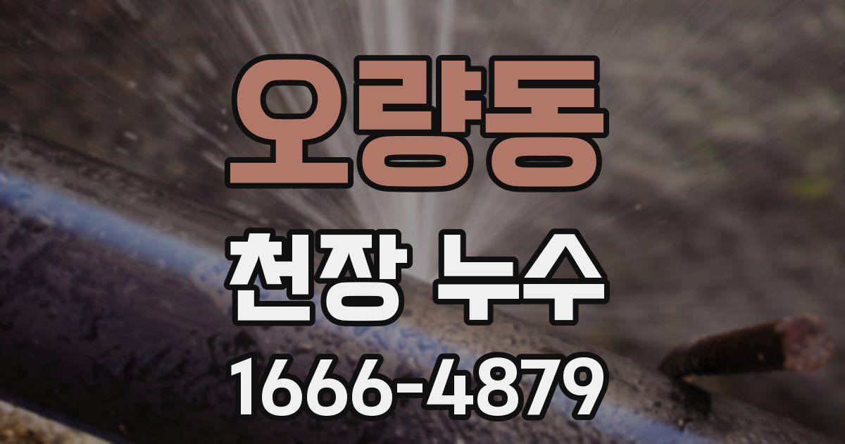오량동 천장 누수