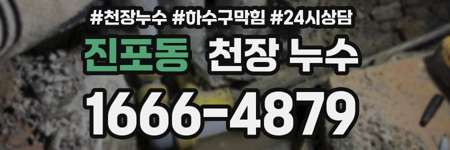 진포동 천장 누수