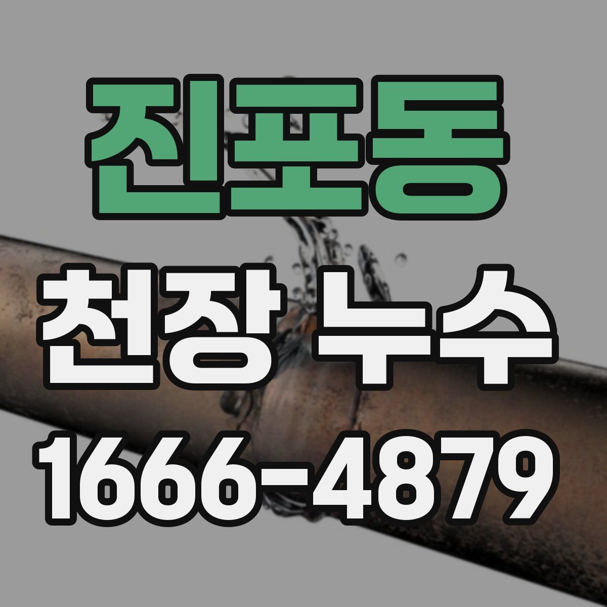 진포동 천장 누수