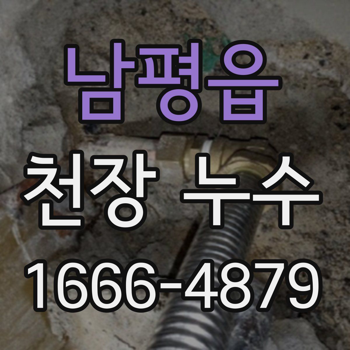 남평읍 천장 누수