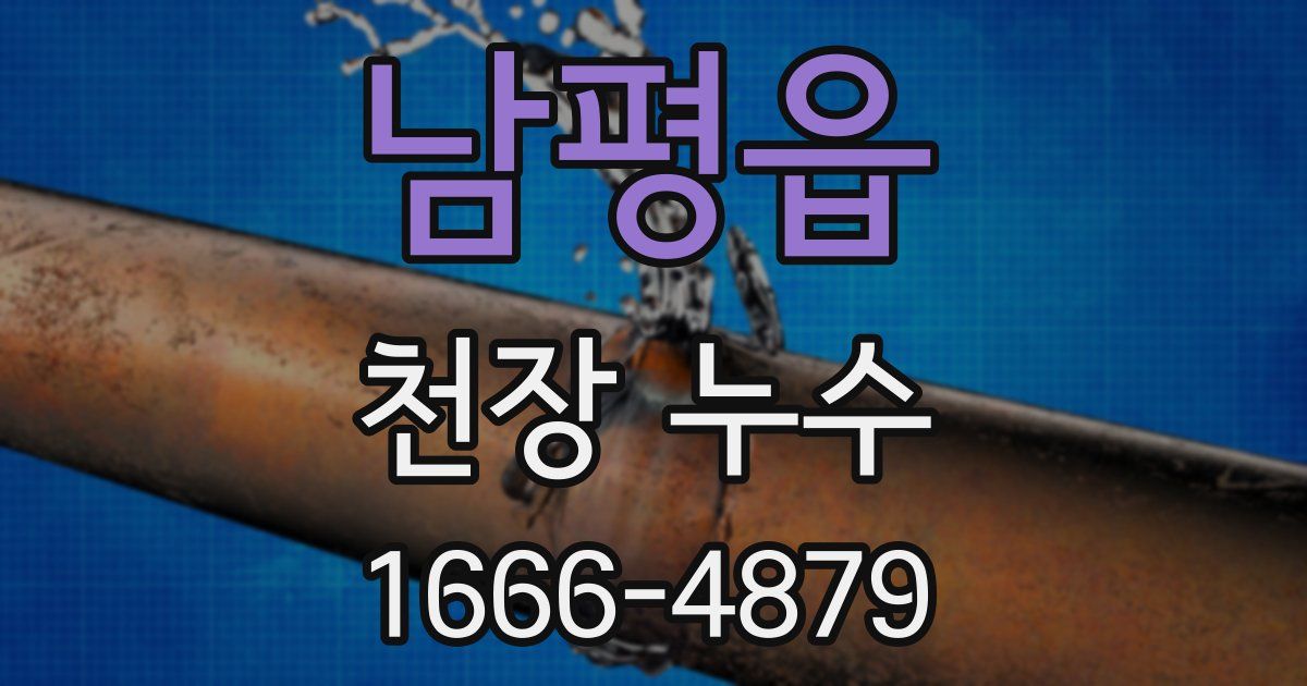 남평읍 천장 누수