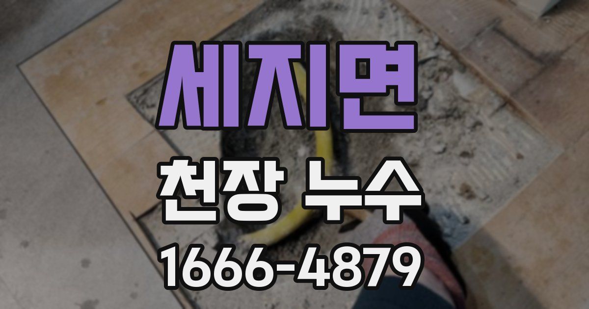 세지면 천장 누수