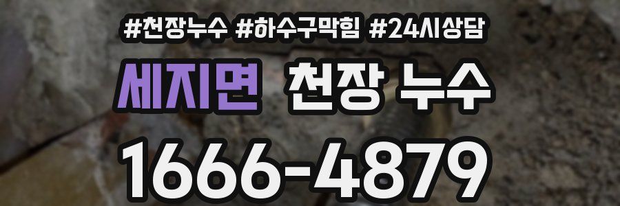 세지면 천장 누수