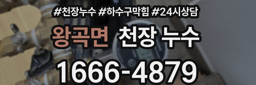 왕곡면 천장 누수