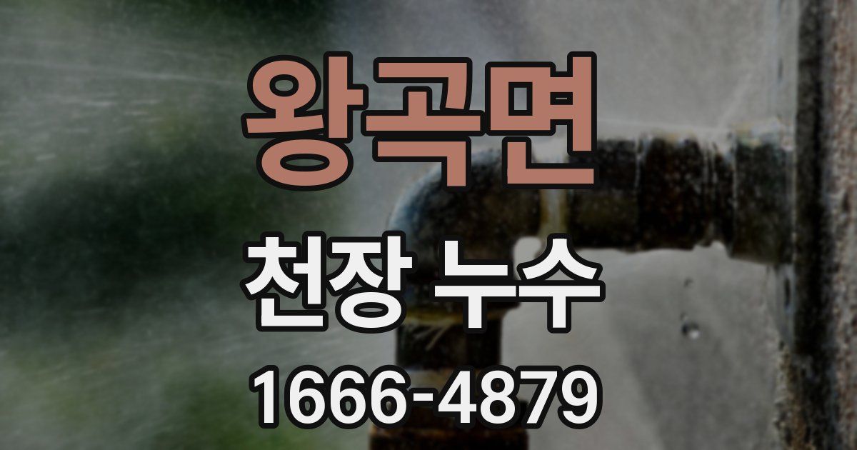 왕곡면 천장 누수