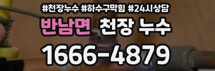 반남면 천장 누수