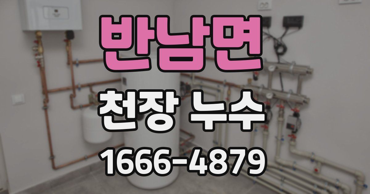 반남면 천장 누수