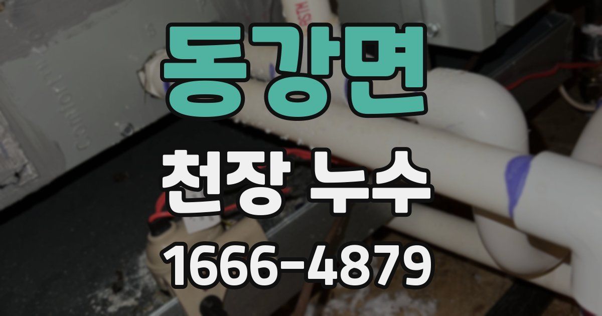 동강면 천장 누수