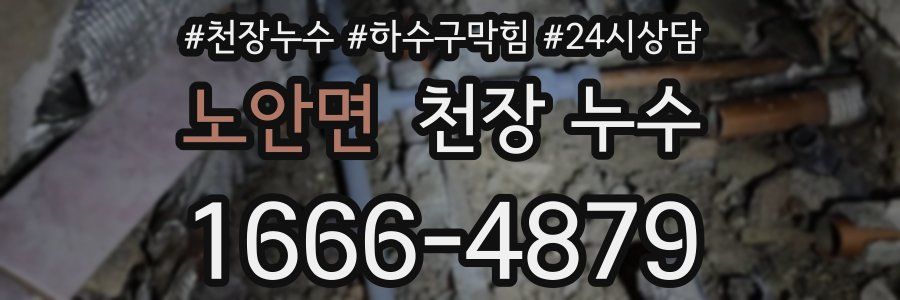 노안면 천장 누수