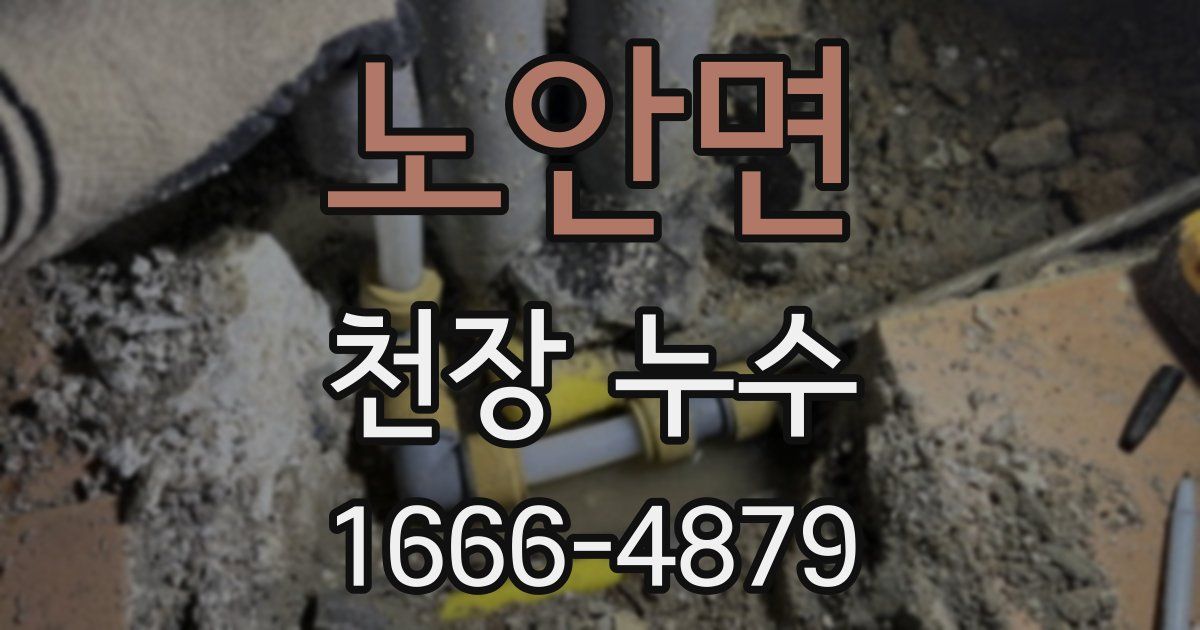 노안면 천장 누수