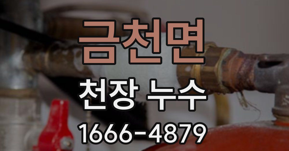 금천면 천장 누수