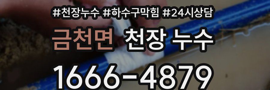 금천면 천장 누수