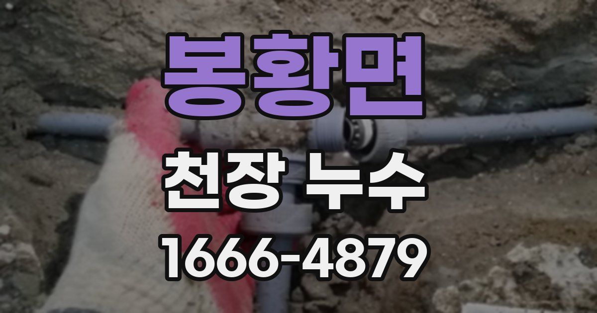 봉황면 천장 누수