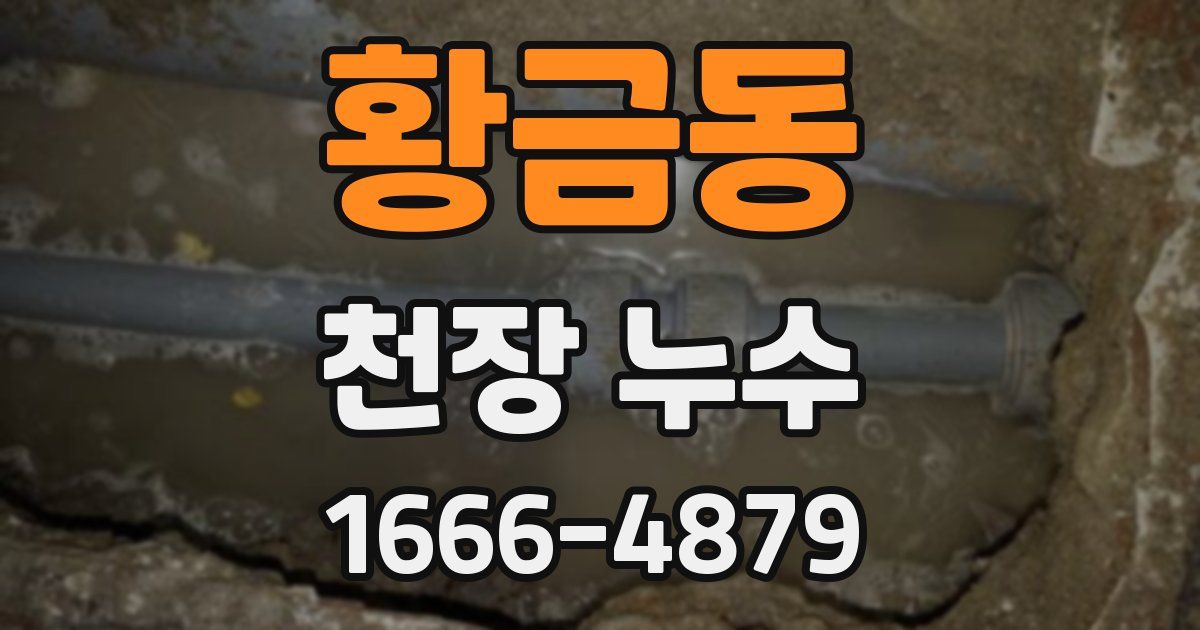 황금동 천장 누수