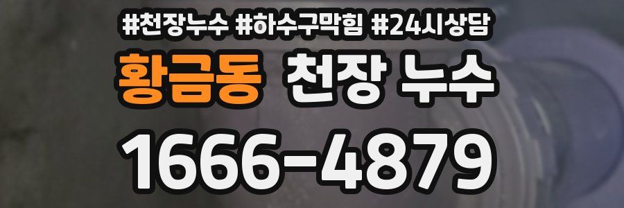 황금동 천장 누수