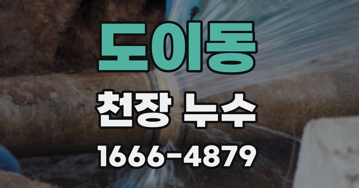 도이동 천장 누수