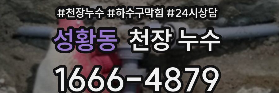 성황동 천장 누수