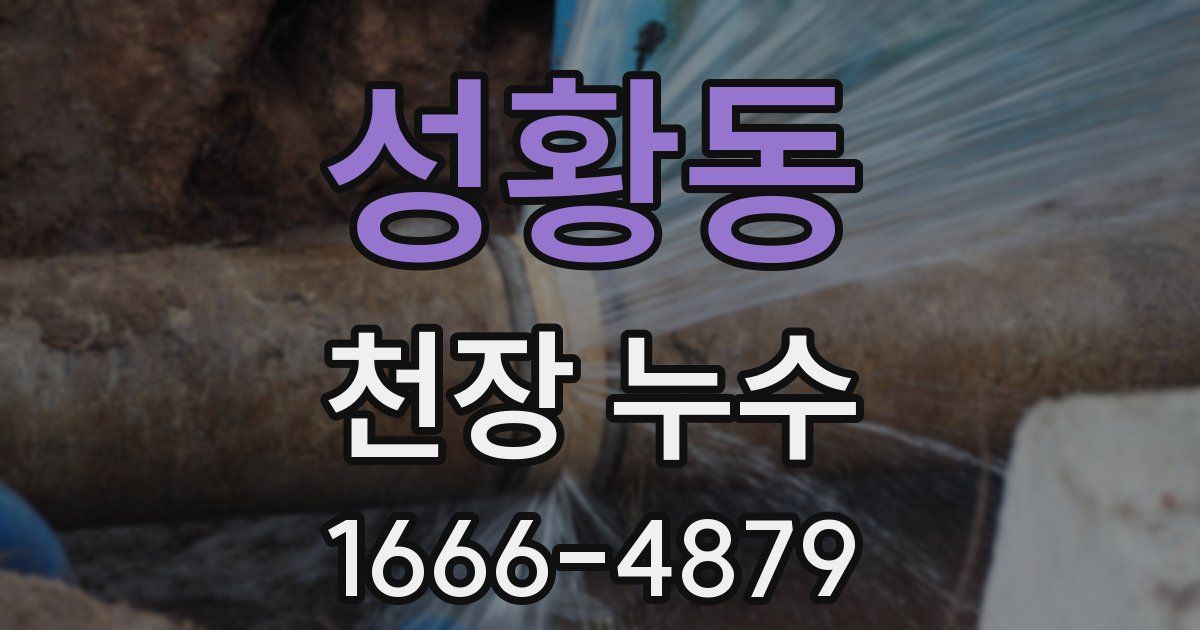 성황동 천장 누수