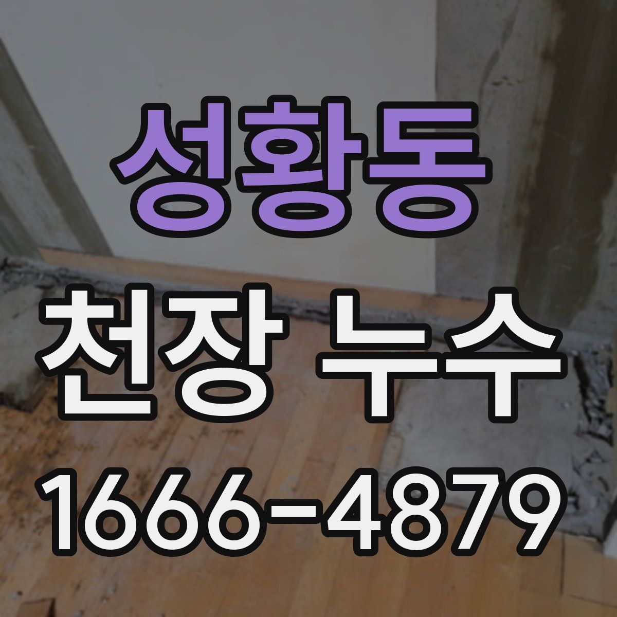 성황동 천장 누수