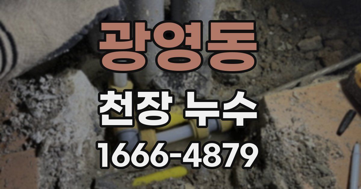 광영동 천장 누수