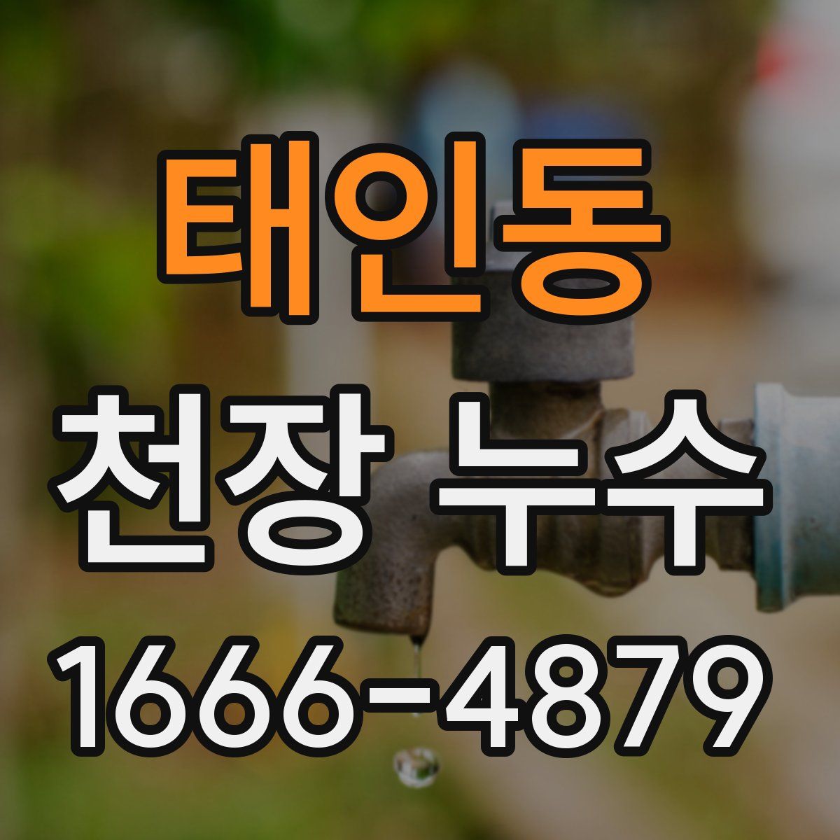 태인동 천장 누수