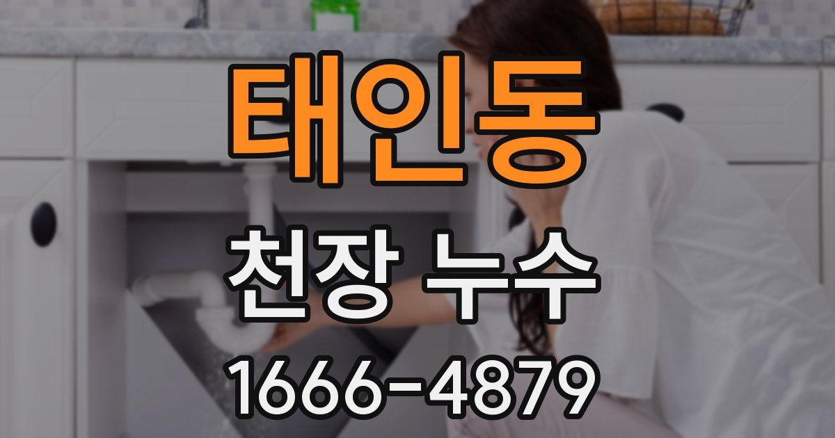 태인동 천장 누수