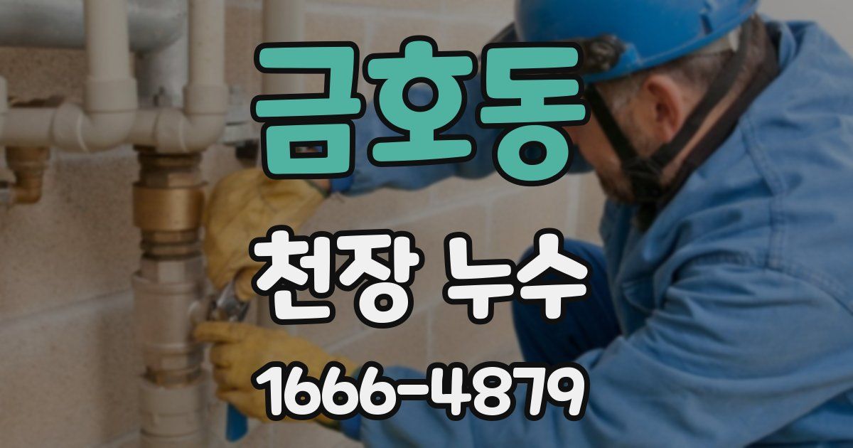 금호동 천장 누수