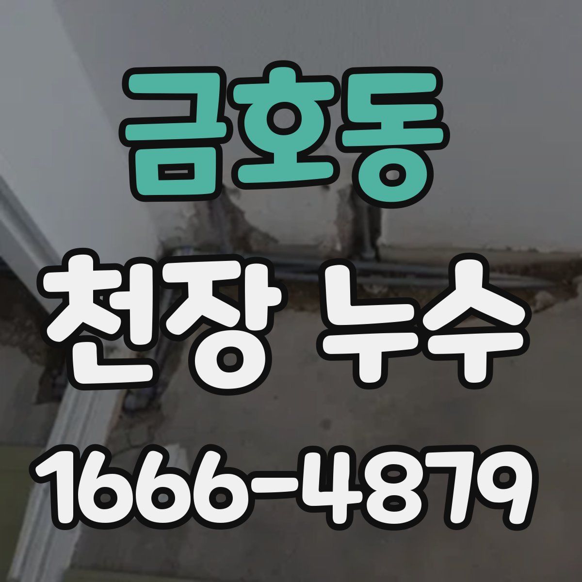 금호동 천장 누수