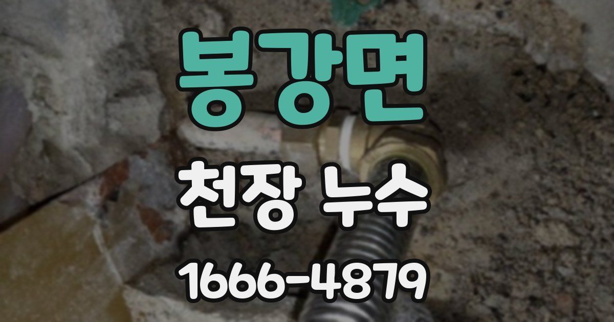 봉강면 천장 누수