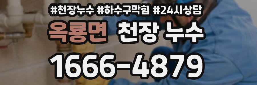 옥룡면 천장 누수