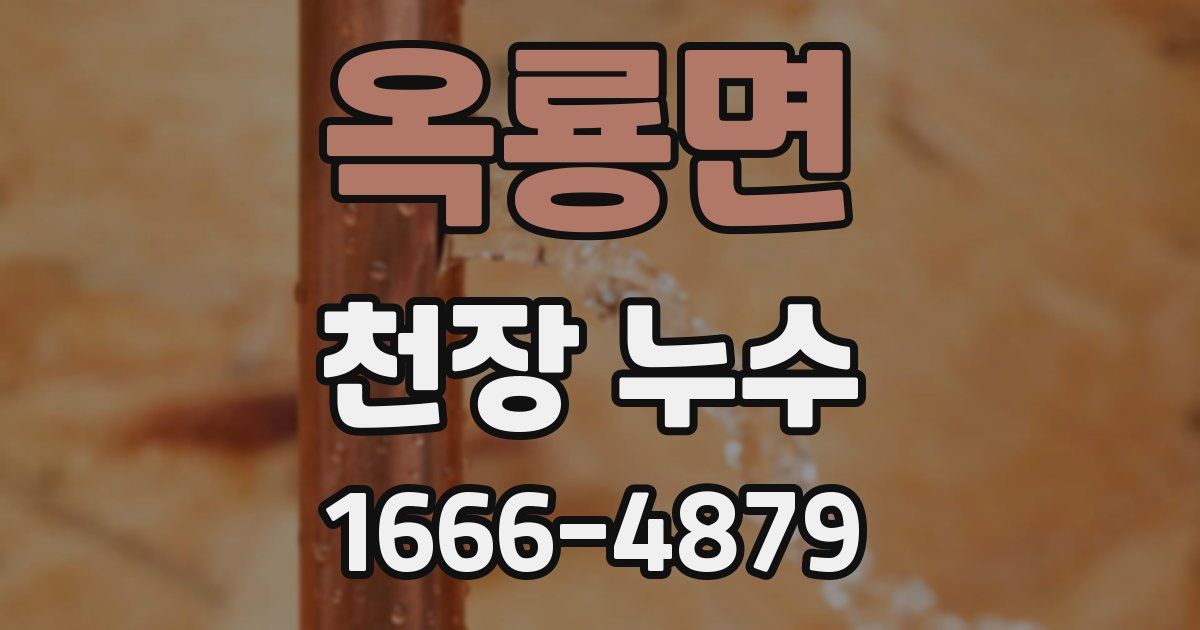 옥룡면 천장 누수