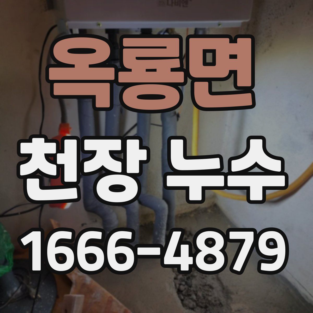 옥룡면 천장 누수