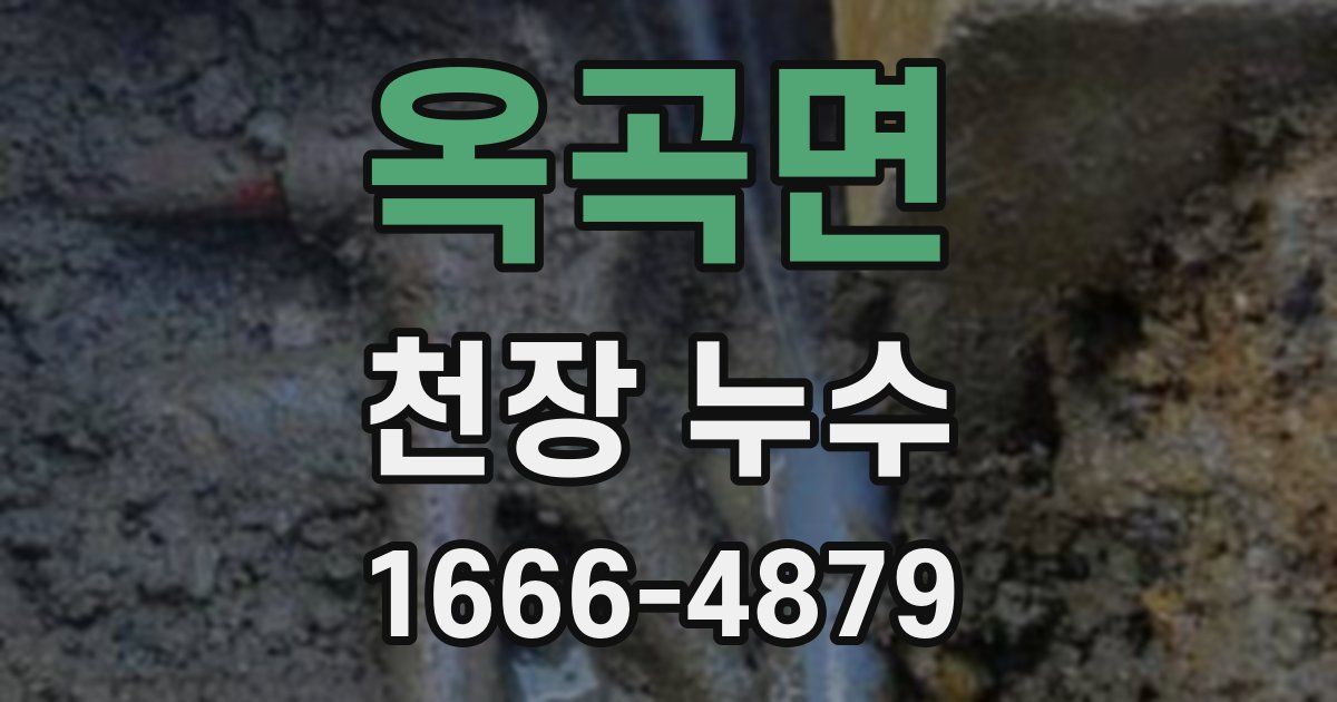 옥곡면 천장 누수