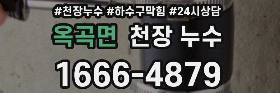 옥곡면 천장 누수