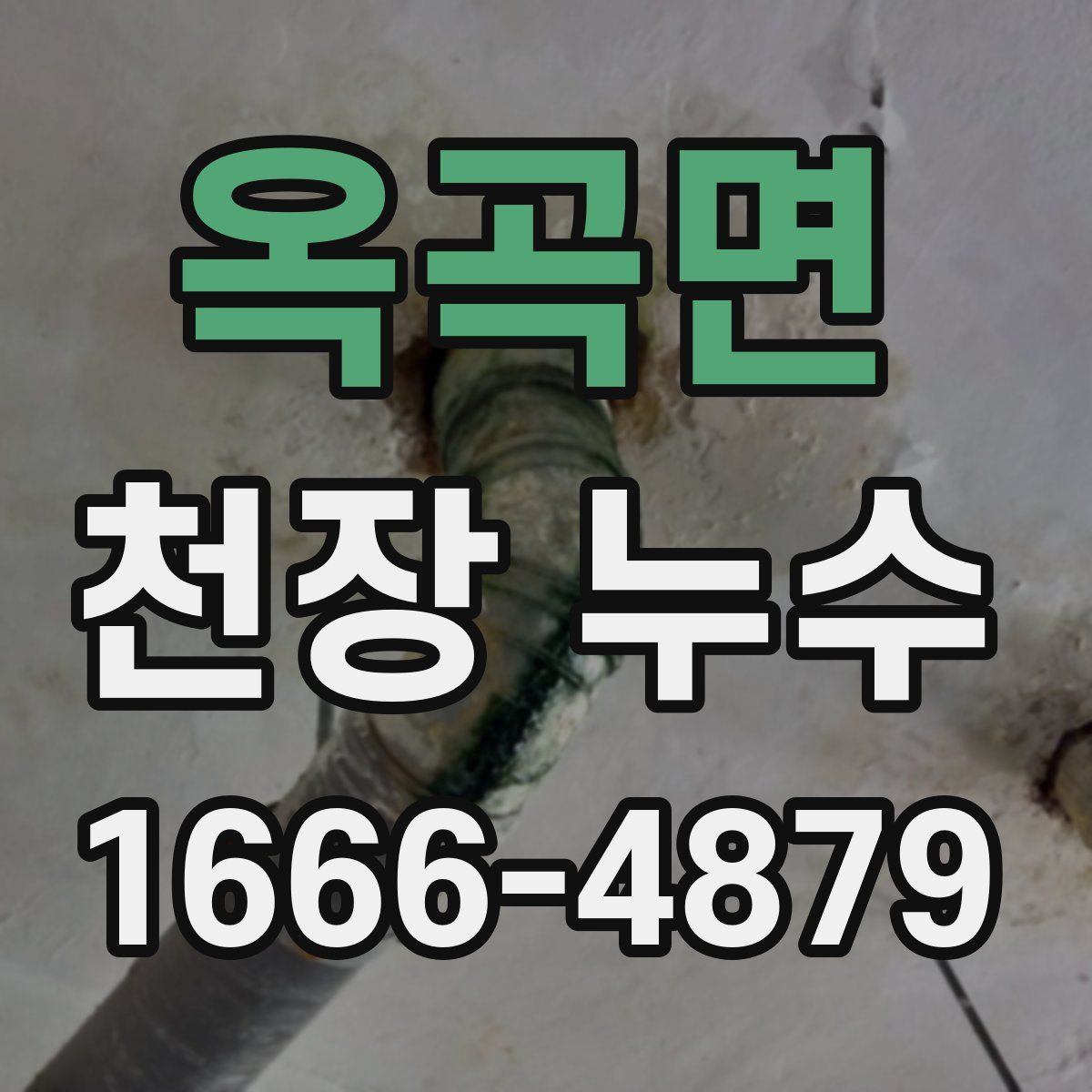 옥곡면 천장 누수