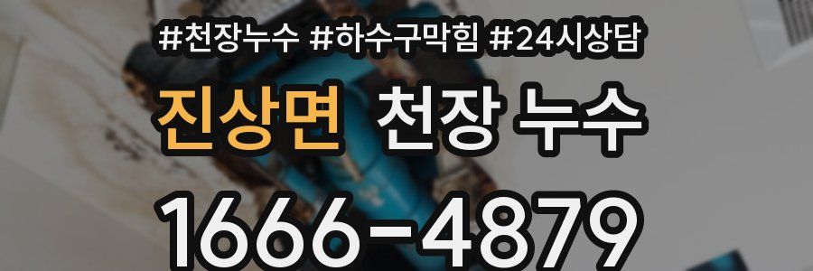 진상면 천장 누수